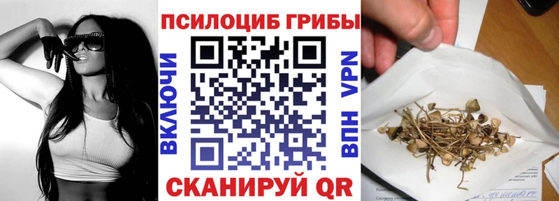 цена   blacksprut tor  Псилоцибиновые грибы ЛСД  Прокопьевск 