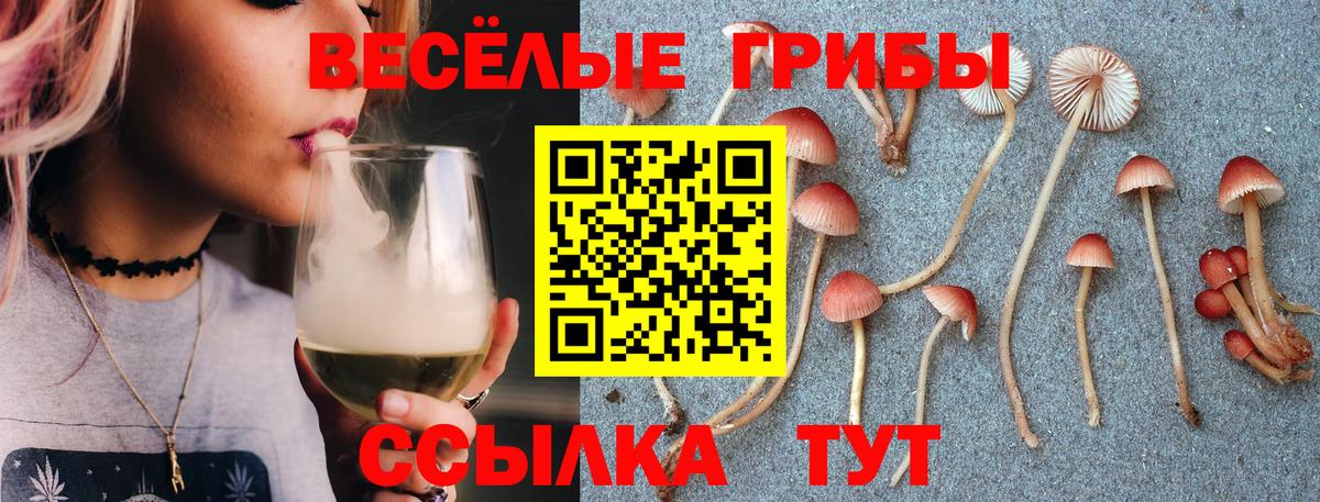 Прокопьевск  Псилоцибиновые грибы мицелий  Вход с VPN 