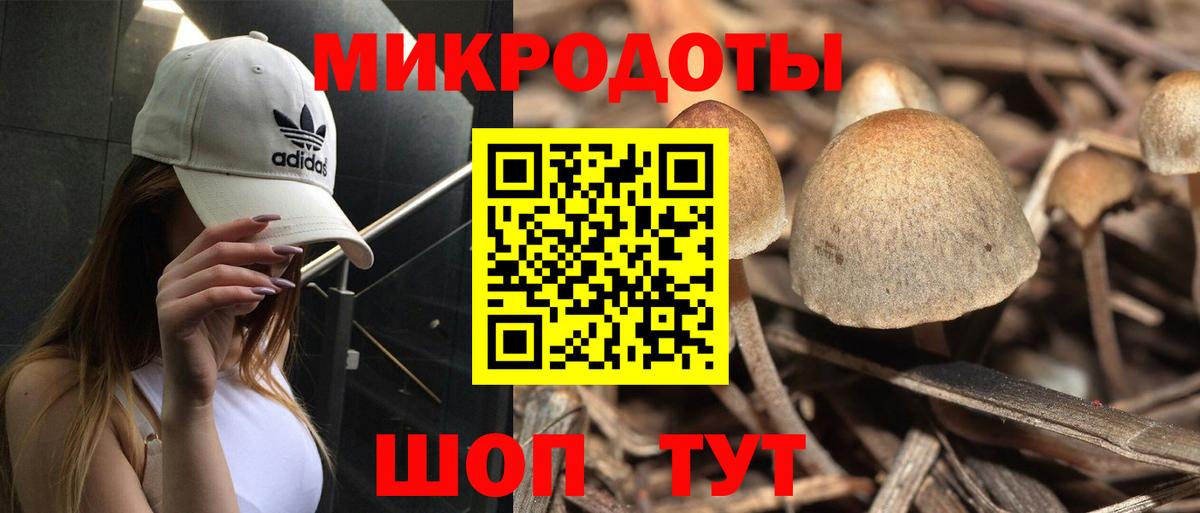 Галлюциногенные грибы Cubensis Прокопьевск