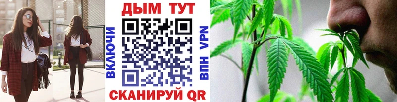 Шишки марихуана семена  Прокопьевск 